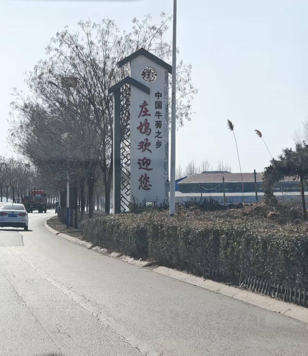 ɽҽҩѧ翴³ţ˵СΡ