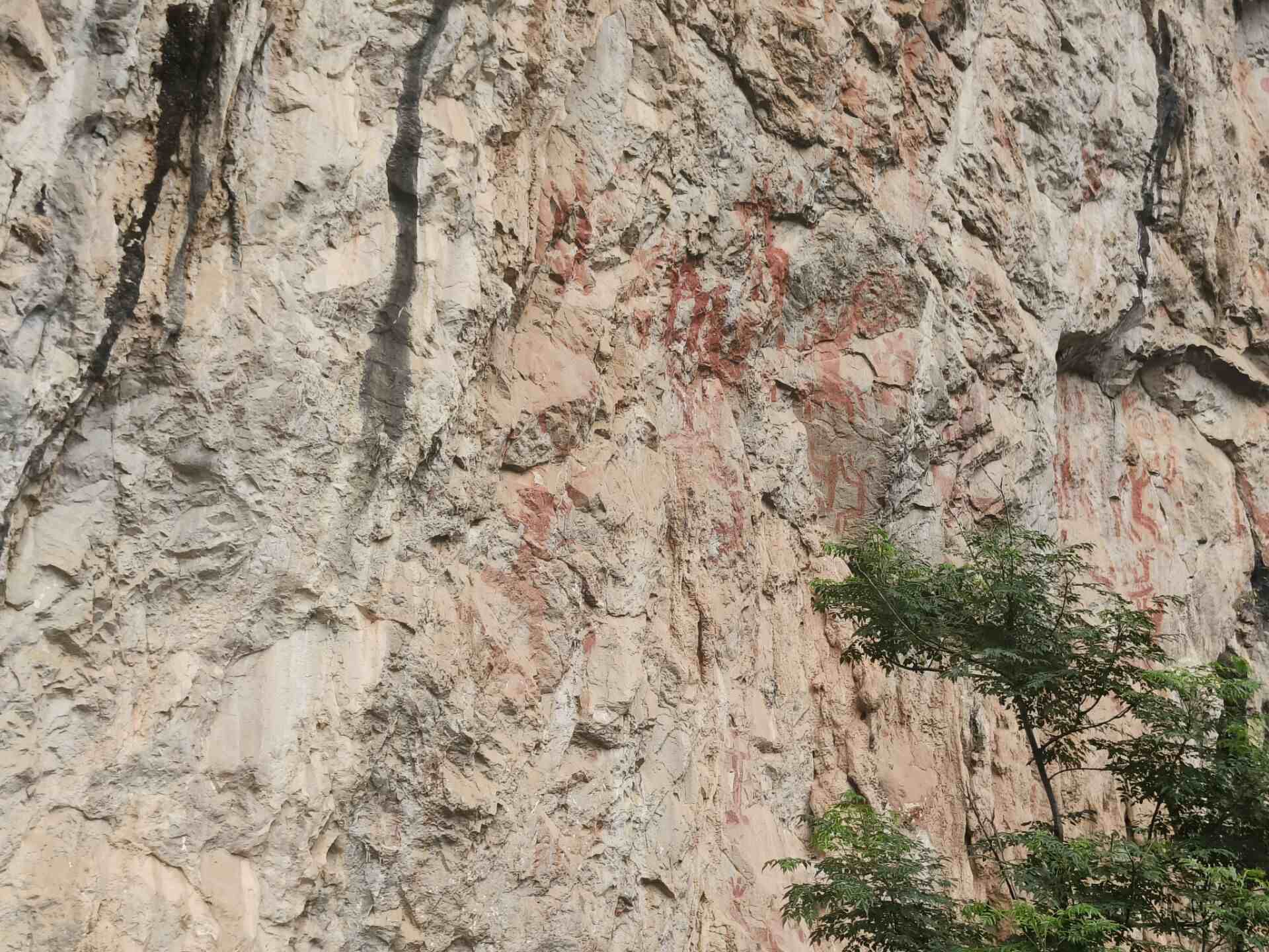 717չѧѧԺʵĿͶ