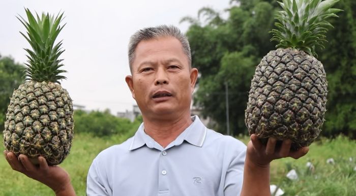 ������սǰ��ĥ����ֻΪֱ���߹⣡