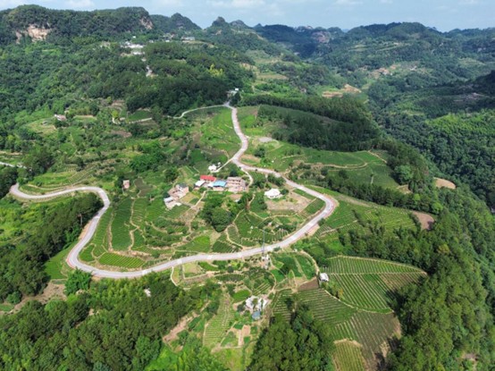 �ഺ��������·�����ջ�������;