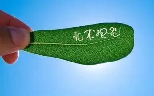 뱧Թ