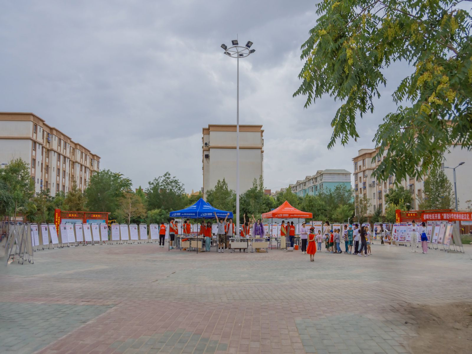 żлĻ