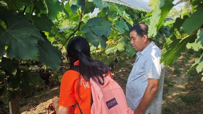 ������԰������ ũ���ںϻ���ƪ