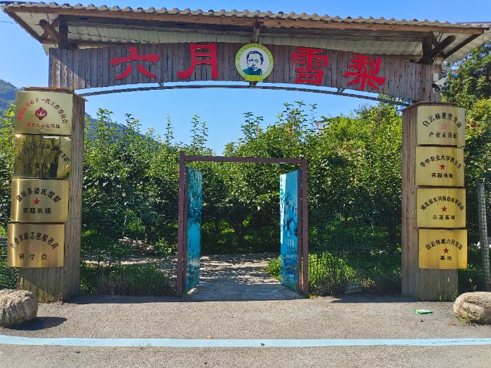 ͼΪ������ʩ��ʼ������ѩ����ֲ���� ���ľ���