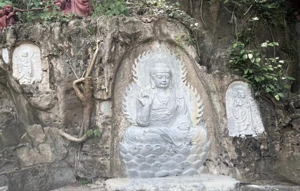 йϣƪ