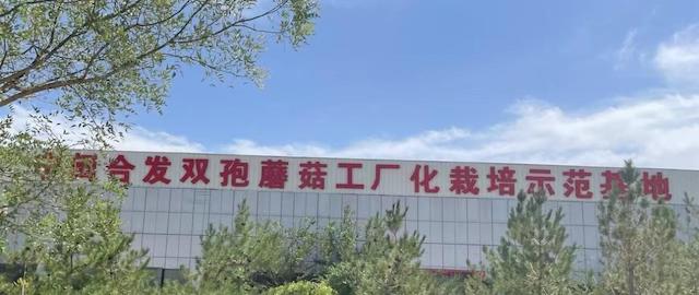 ũѧ硪˫߹¸ɡ