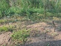 ��ʪ��ͬ����