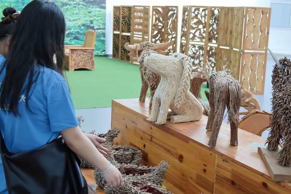 ѧ磺зĻ