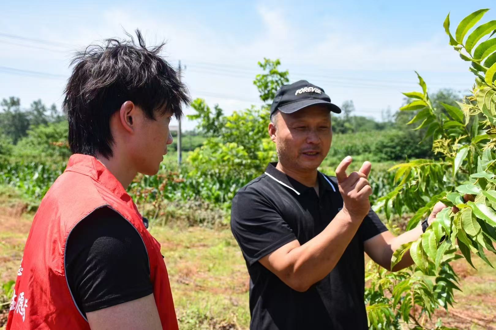 ����ѧԺ���̹���ѧԺ���������򾭼��Ļ�������չ��̬�Ƶ����š������������������ϸ���չ��徭���Ļ����л