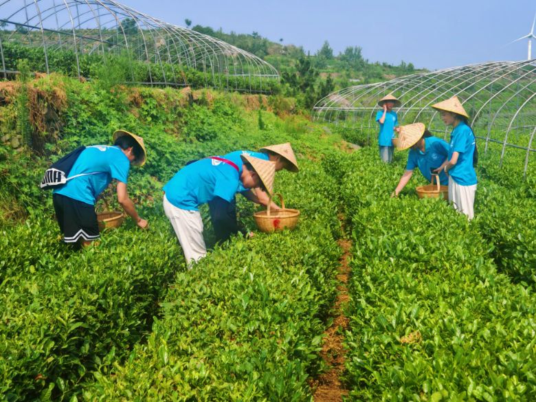 �ڿ����ǻ��ڲ��㣺ɽ����ͨѧԺ��̤��Ѱ�Ρ�ʵ����̽���Ļ��������������·��