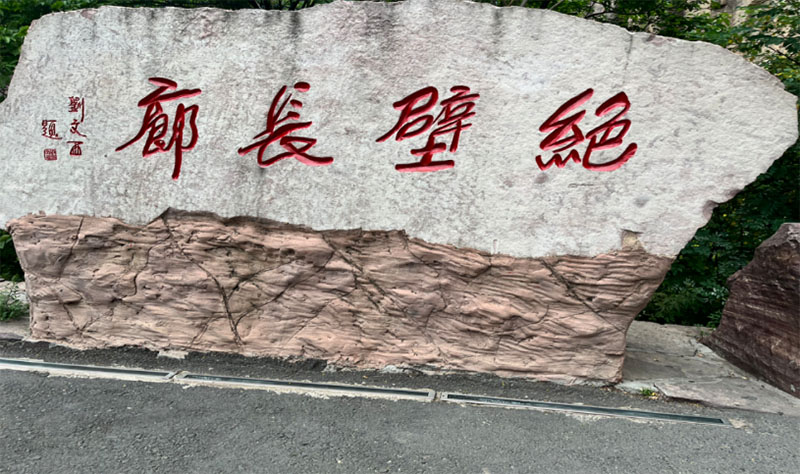 ҽѧԺȫѧԺɽѧʵɫ