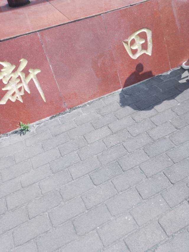 ƽΰú󹤵