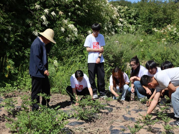 ��ũ����ѧ��̤��;