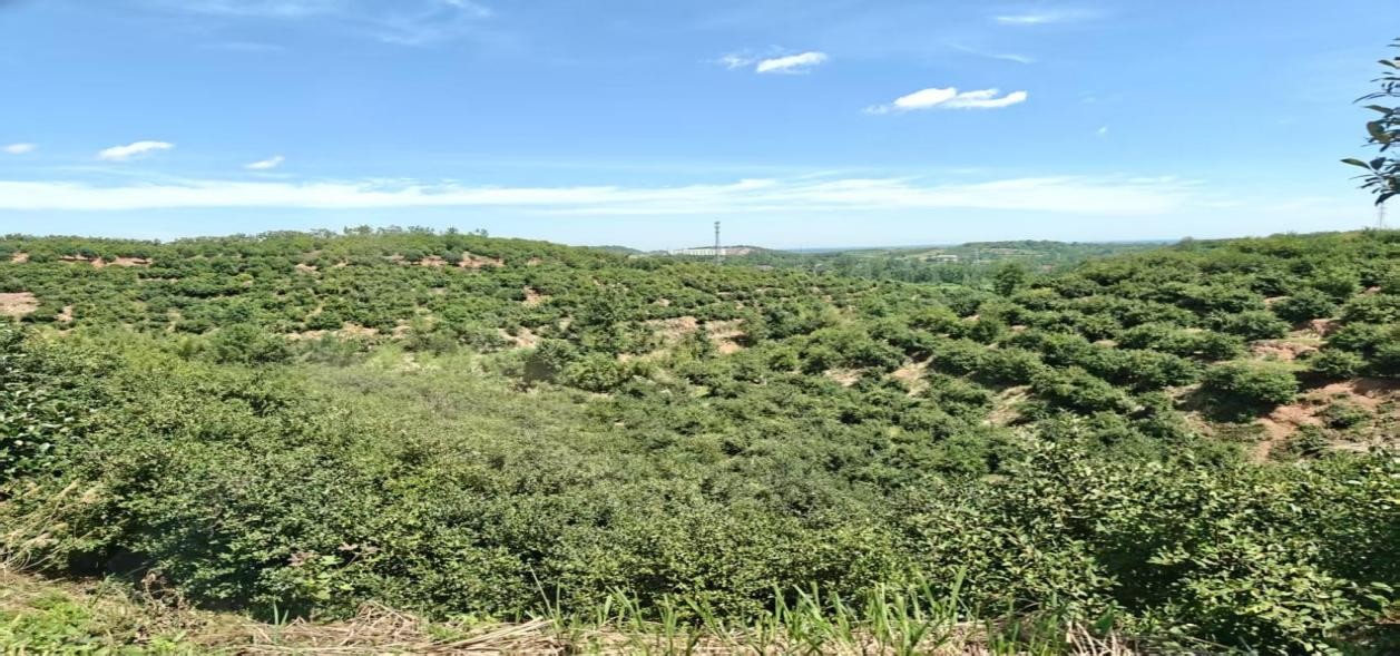 �Ͼ��ƾ���ѧ��һ����͡���������������կ���Ͳ�ҵ���������