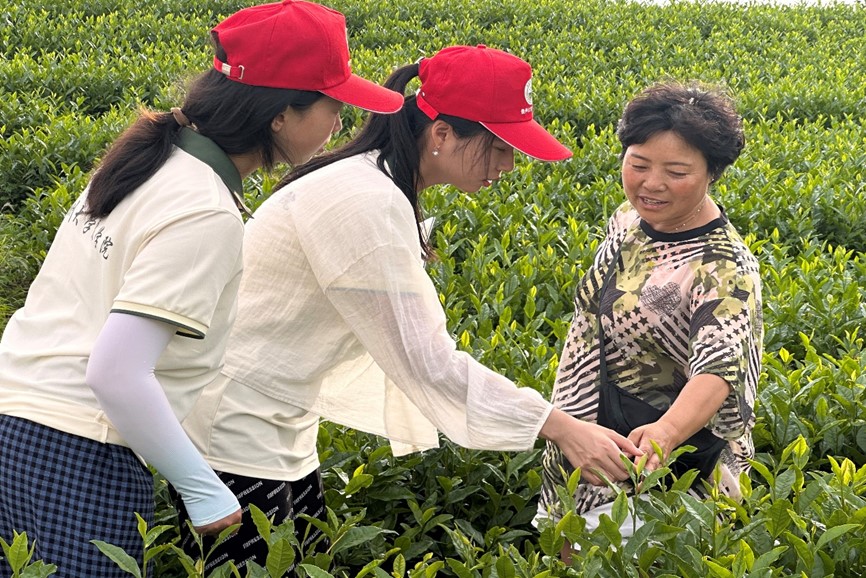 �����ķ��С�ʵ���Ӵ�����衲�԰��һƬҶ���˶��¸��������롱