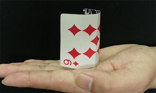 ۷