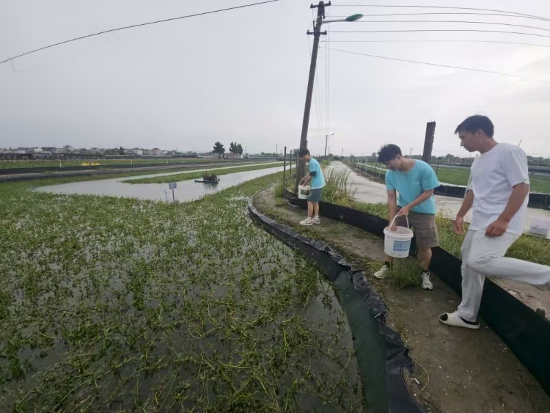 ������⣺����ũҵ��ѧѧ�ӱ�����������չˮ����ֳҵ����