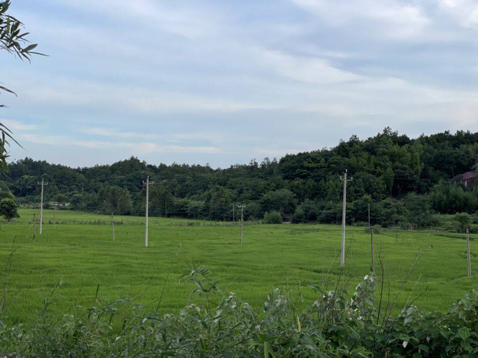 ѧ磺ɽ飬´廭