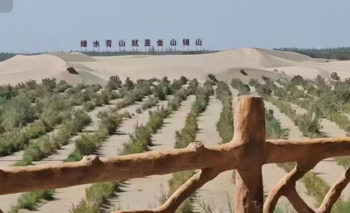 �ഺ����ɳ��֯�̣�������ѧ�뼼��ѧԺ����������ʵ����̽������ᡰ��̬��������Эͬ��չ֮· о������ɳ��֯�̡���̬��ı ��̬ʵ����