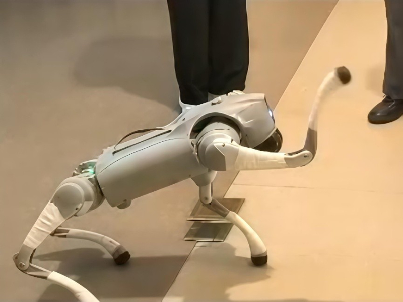 ͼΪ��������������������ټ�԰���������ĳ����Ǵ��к������������