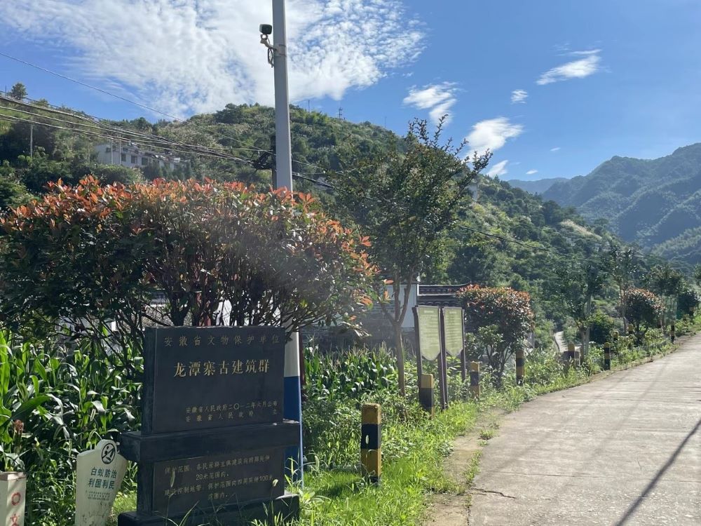 Ѱ������ʯ ̽��Ұ��ʷ