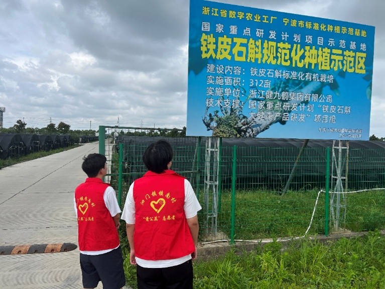 �ι���Ƥʯ����ֲ����