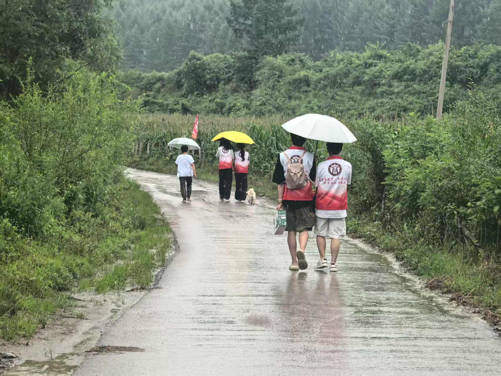 ������Ѱ���� �ഺ���������ꡪ����ѧ�������籾Ϫ�����ֽ�Ļ�̽�ü�