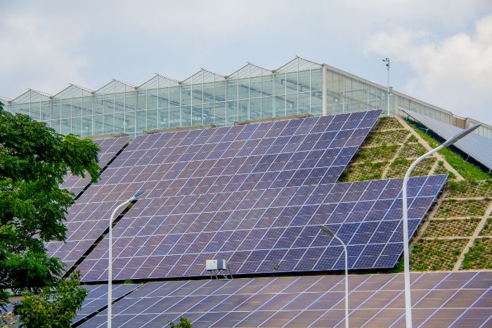 Ϋְѧ�������磺���ǻ���ӣ�Ӱ�����顱 ���˹����ܵ����������·