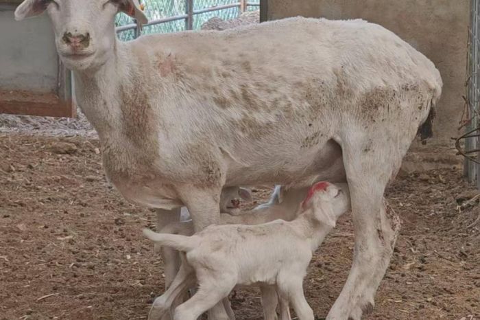 ����ҵ���ǡ�ӳ�ƺӡ�������ũ�ֿƼ���ѧѧ��ǧ����Դ̽����