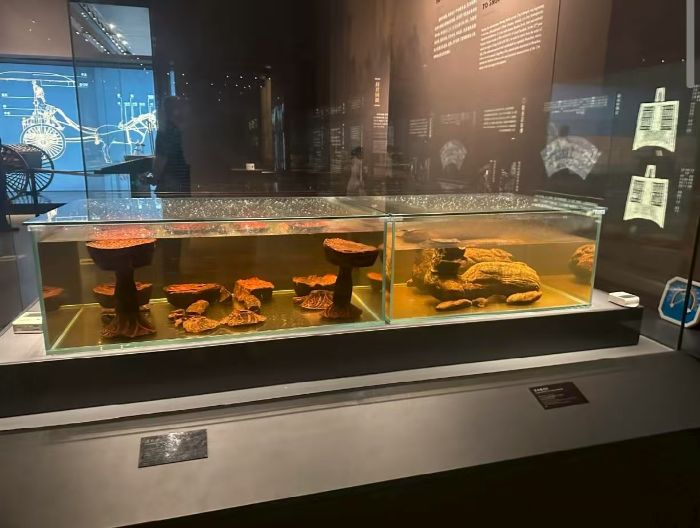 ����ѧԺ���������磺̽�����ز���ݣ����г����Ļ�