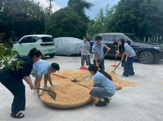 ��ͨ�����������飬���������ճ�