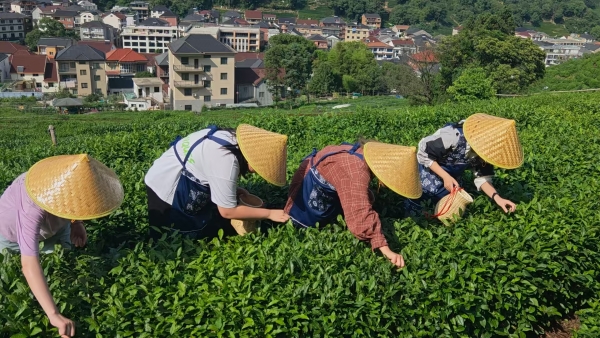 ���ѧ��̽���Ų��㣬���뺼���������Ļ�