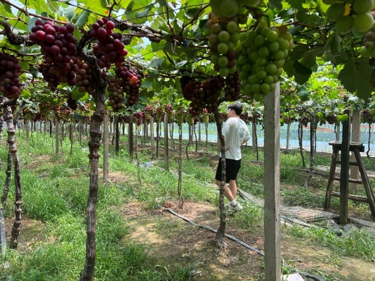 �ι����Ѳ�ҵ԰