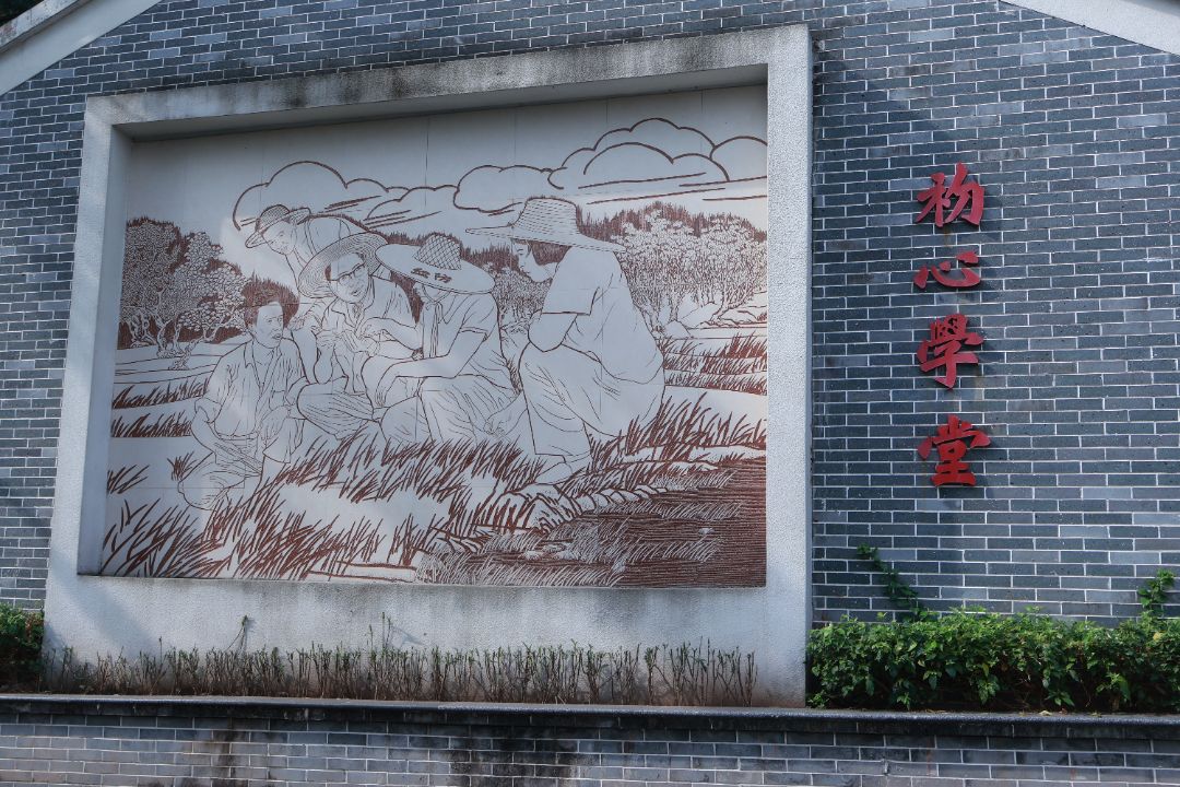 �㶫����ְҵѧԺ�������ѧԺ���������ǡ�ͻ�����ഺ�㼣Ѱ����������ҫ�ճ���