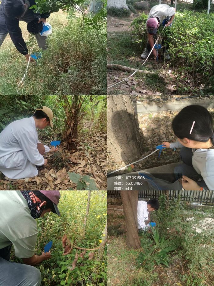 �����ذͲ�ľ ���ɽ�ػ���