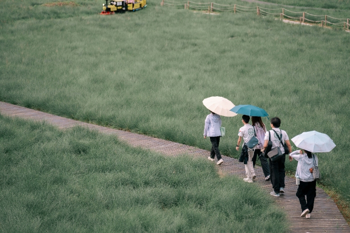 �����»�ѧ������������� ̽����̬���������ִ����ں���·��