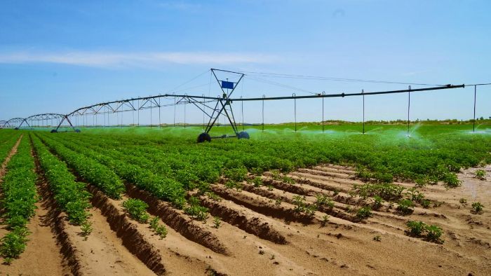 ������|�����ƾ���ѧ����������ũ�ȷ�ӣ��Ƽ�����������ҵ�� �ഺ�����������