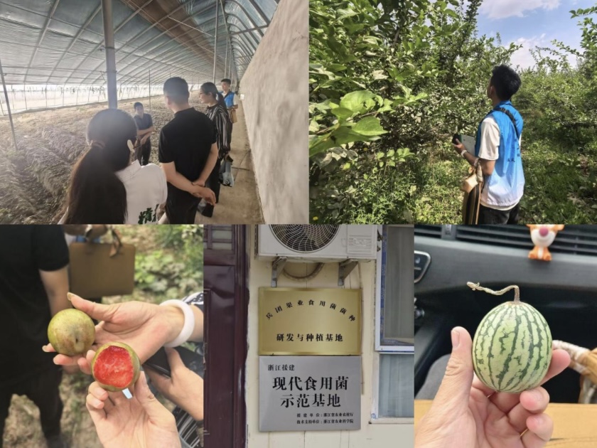 ������л��Ļ������ţ�����������ʵ��