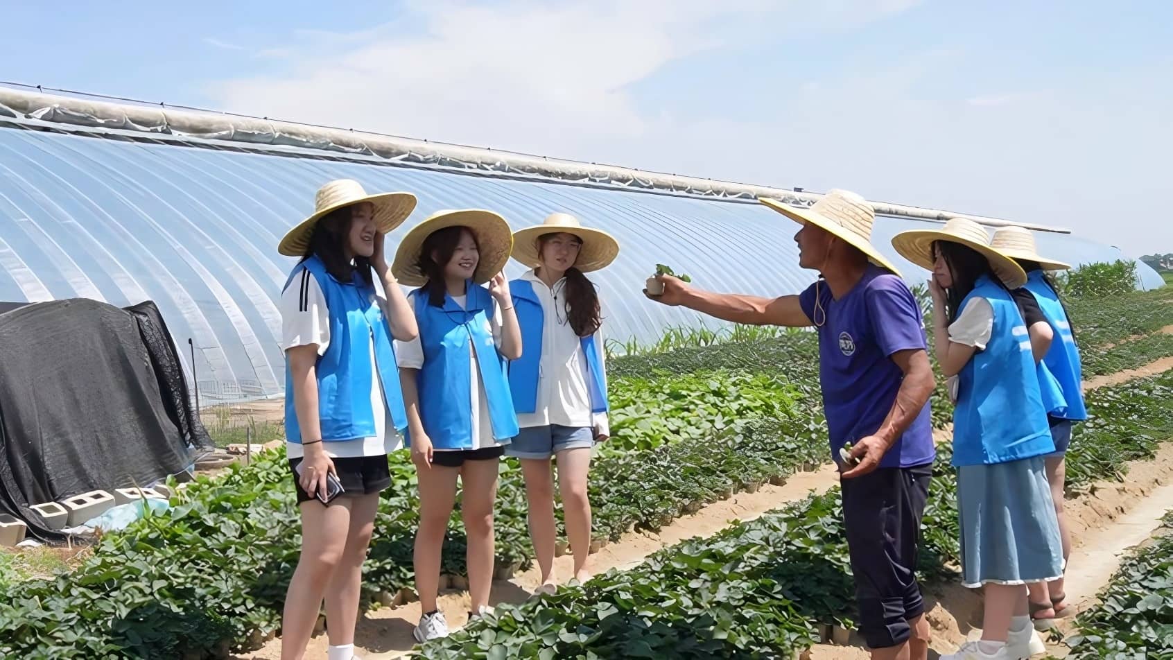 ������ѧ�������硱��������в�ݮ��ҵ�������������ͼ��