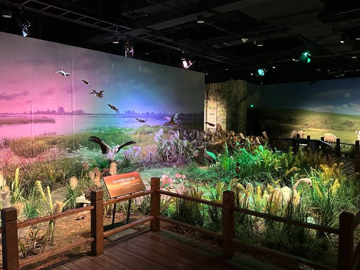 �߽�����ݣ�̽Ѱ������