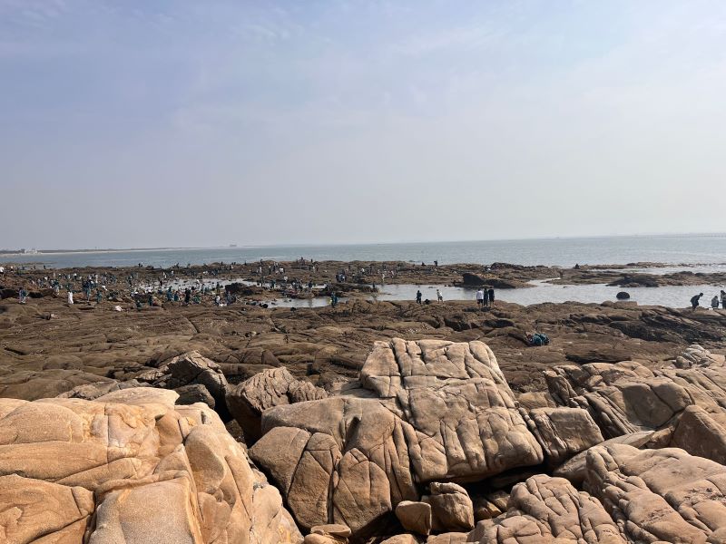 ��ۻ����ϣ�����������