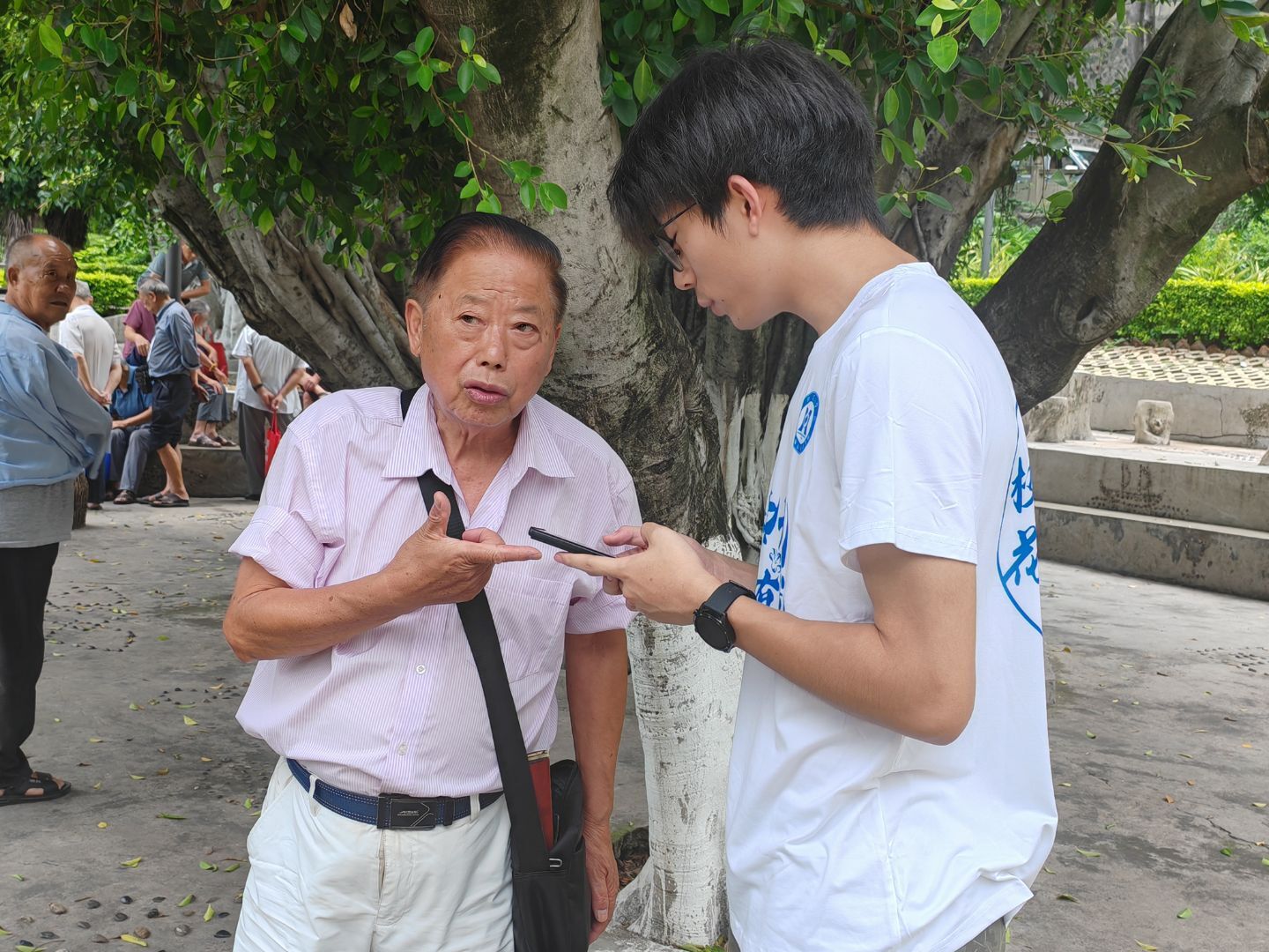 ��֦��ѧԺѧ�ӵ��н�ʾ��֦�����������ԾȻ��ȼ�����֧����״