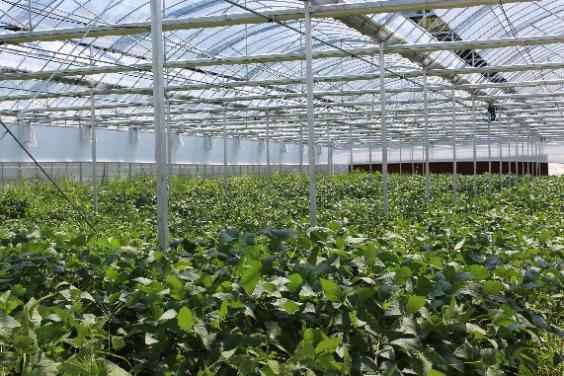 ����о������ �� �ǻ桰о��; | �㽭���̴�ѧ���ʵ����̽����Ǿ��Ƽ���ֲ����