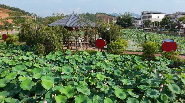 �㶫����ʦ����ѧѧ�����Ĵ�IP���󼤻������ﰲ��������ơ�����������������ľ�͡����������̬�����ں�