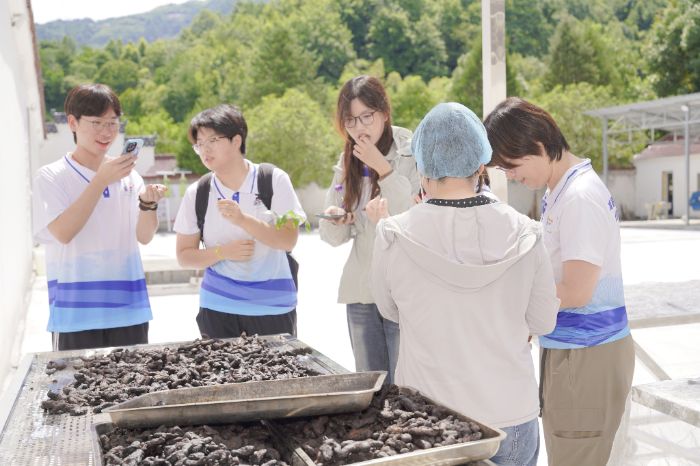 ��׼����ʵ�������顰������ɹ������