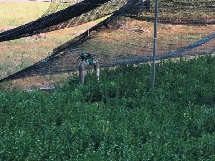 ����ũ�ֿƼ���ѧ����ѧԺ���������������ǡ��ݡ��������ʵ���ſ�չ���л