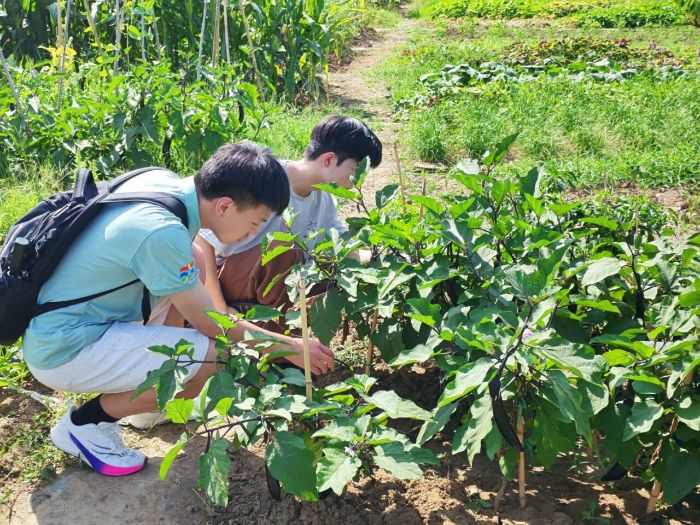 ����ɫ��ѧ����ũ��ҵ�� ����ӿ�չ������ʵ�����ػ����ˮ����ȫ