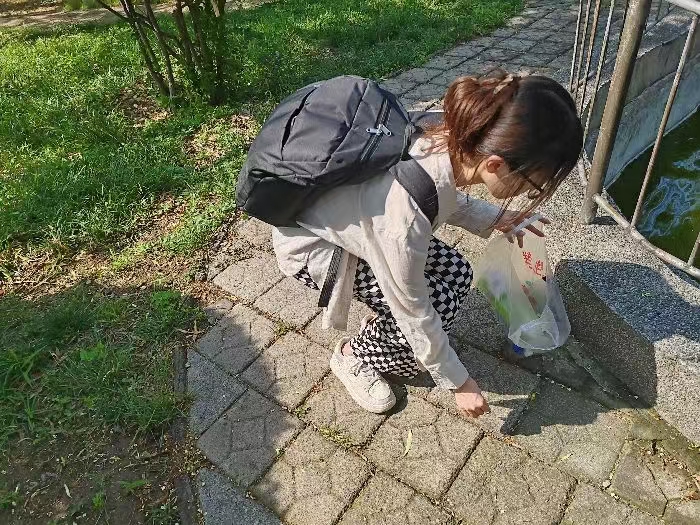 2025�������������������ҽҩ��ѧ���Ի���Դ����С���ж��ӡ�