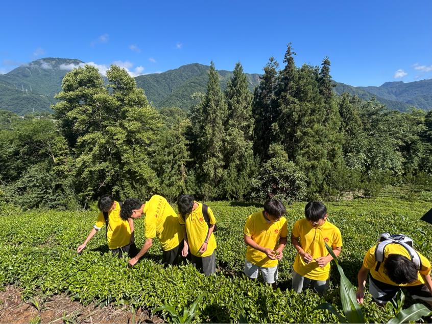 ��Ǽ�绯�ꡱʵ���ӣ� ָ��ߢ���̣��ǻ����԰