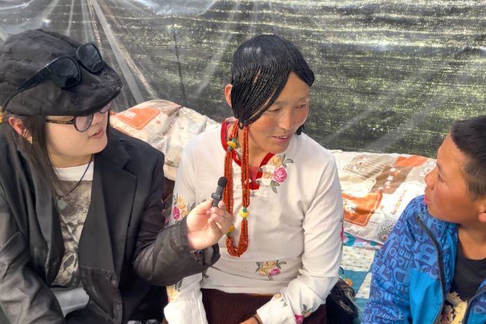 ��֯�������������ˣ�����-¯����ţë���ޣ���Դ���������빲Ӯģʽʵ��